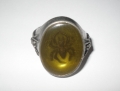 Amber Tomb Spider Ring Size Y